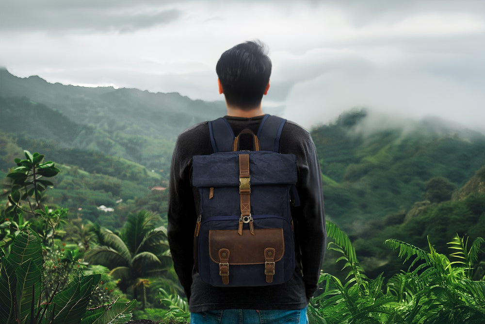 Person wearing a vintage style camera backpack, overlooking a lush mountain landscape.